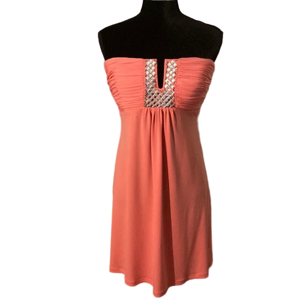 Calvin Klein Strapless Coral Dress with Silver Accents